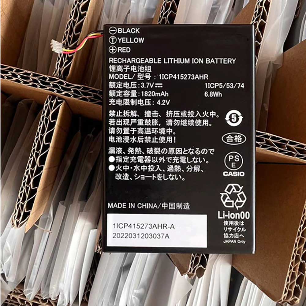 Casio E-W100 battery