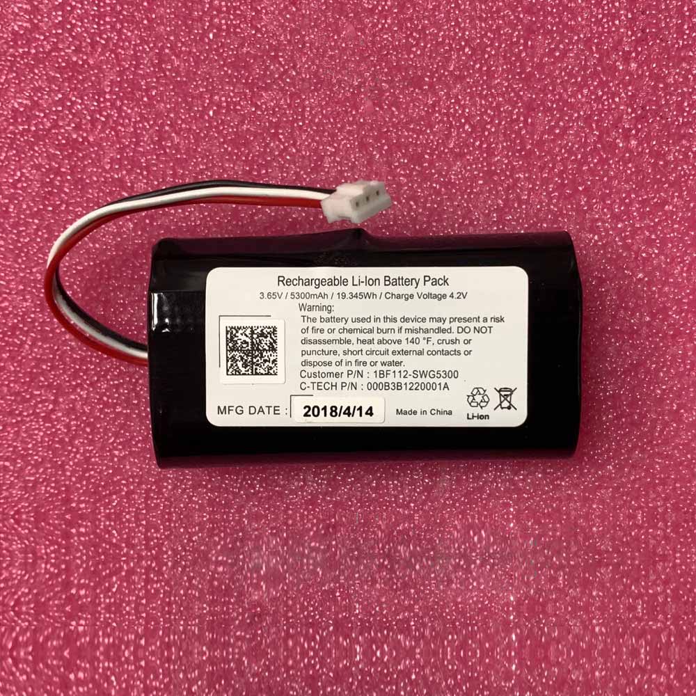 Boston Power Swing 5300 battery