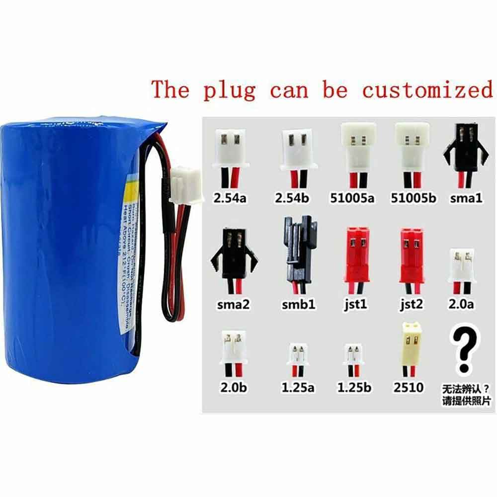 Lisun ER34615 with Plug battery