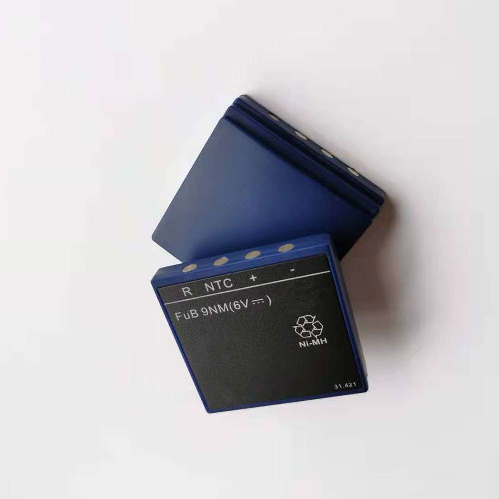 BA209061 1000Mah Replacement battery for HBC remote control/crane crane