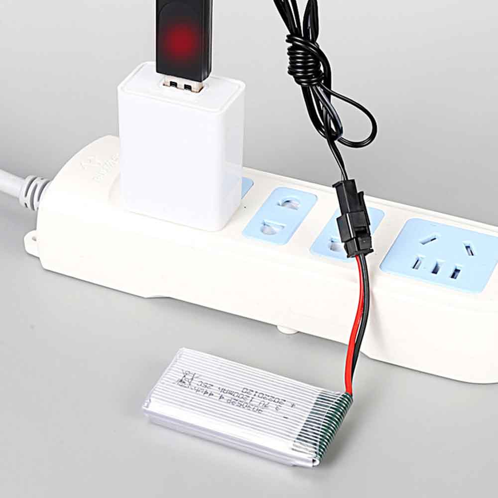 Sanyo Xacti DMX-C1 DMX-C4 DMX-C4D DMX-C4L battery