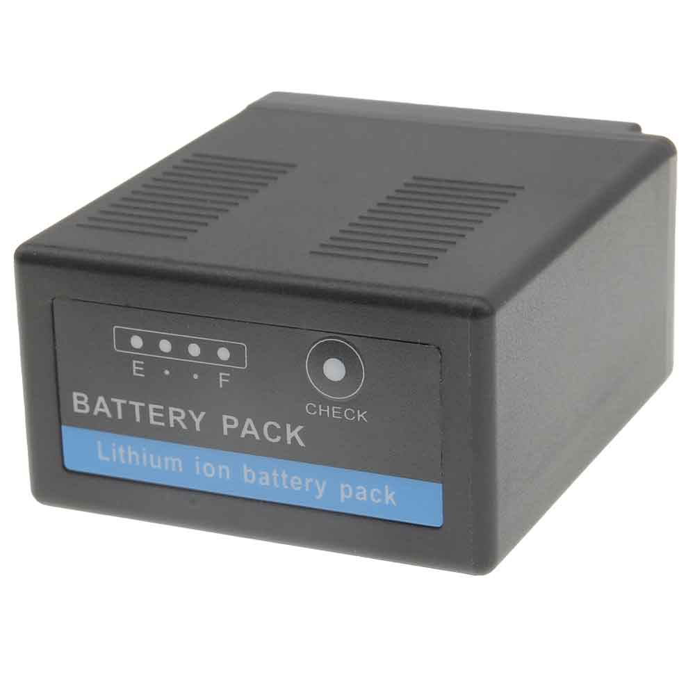 Panasonic HS100 HS200 HS300 HS9 battery