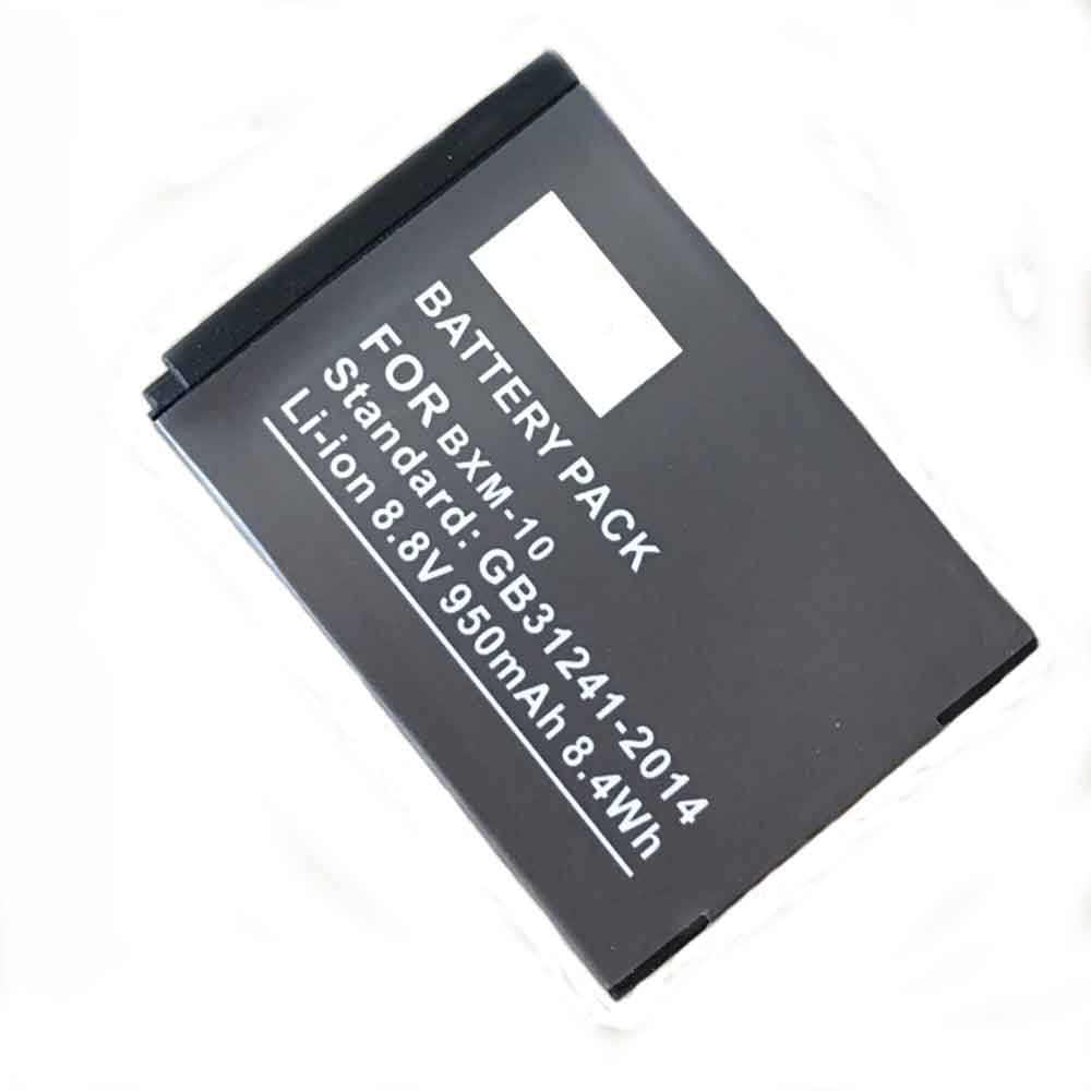 8.8V 950mAh BXM-10 Camera Battery for YI M1