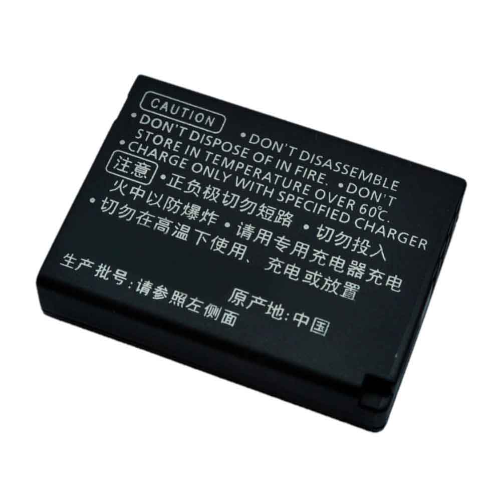 Leica V-LUX 20 30 40 battery