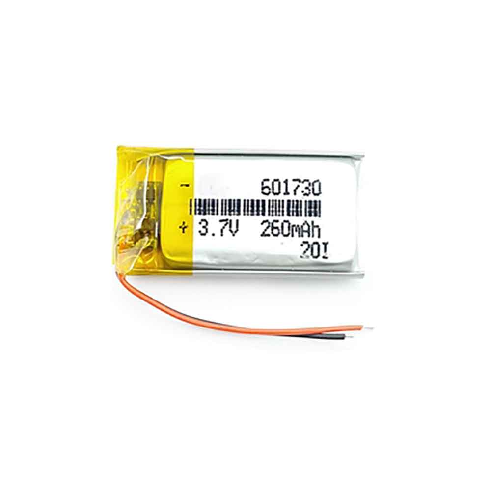 Longkai Reading Pen MP3 battery