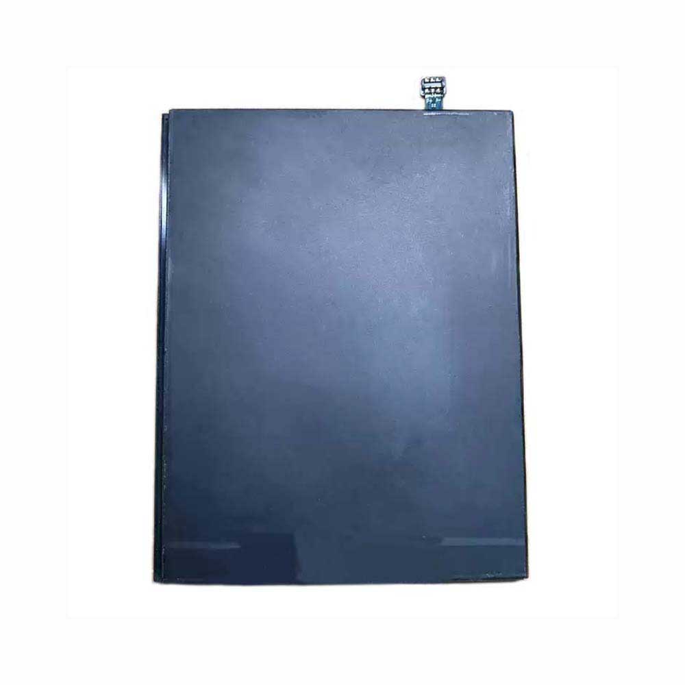 FortuneShip RS801D battery